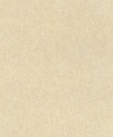 Wall Textures V 617344