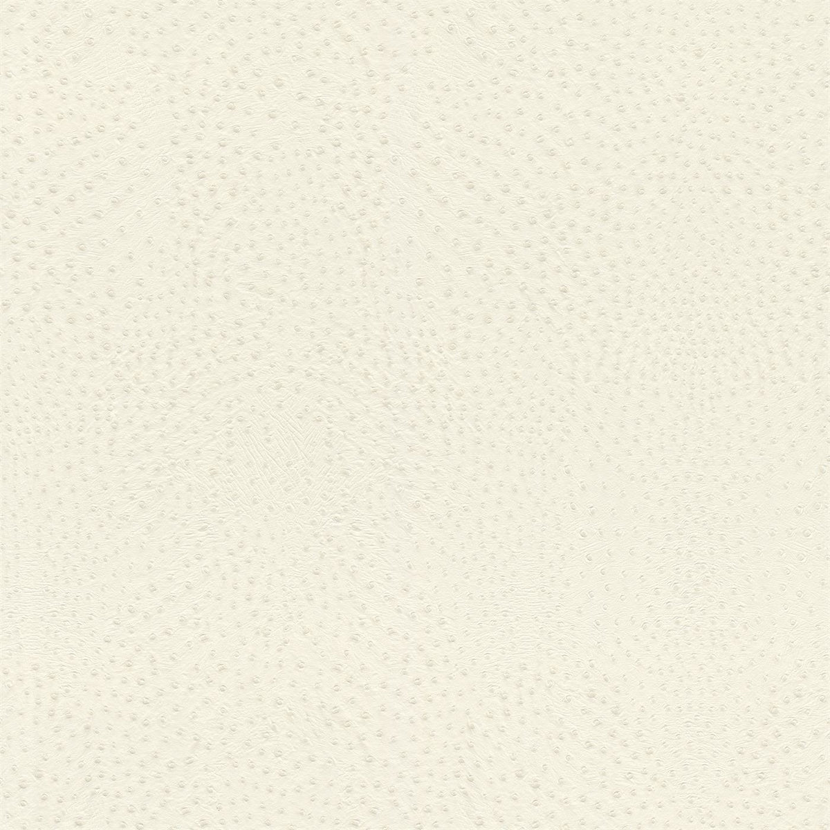 African Queen III 751512