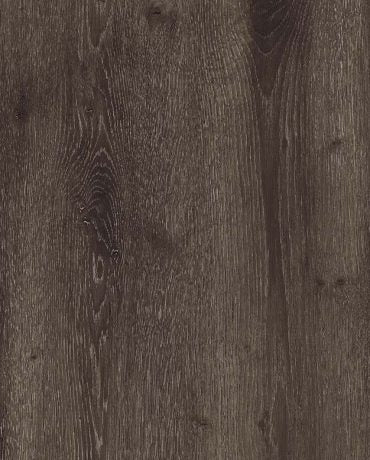 Swiss Oak Vernier MS127519