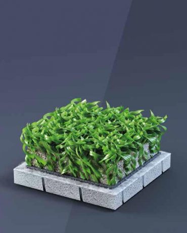 Astroturf D-3404